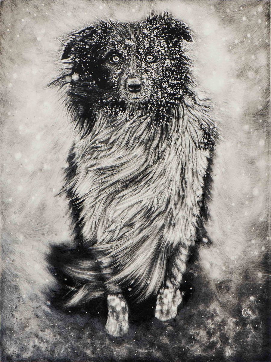 Dog in Winter by Nathan Cole 
