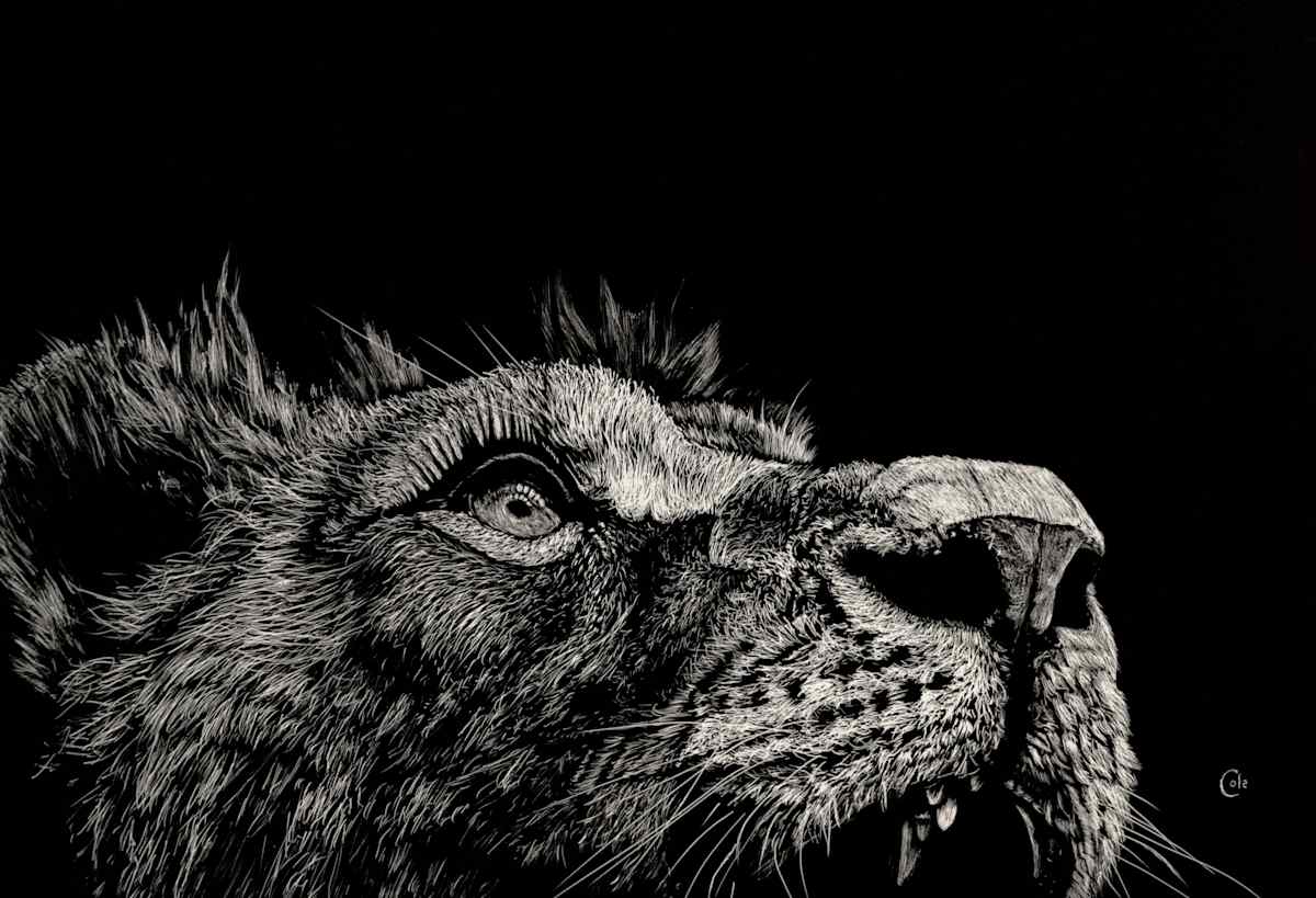 Revenant by Nathan Cole, Image 1.