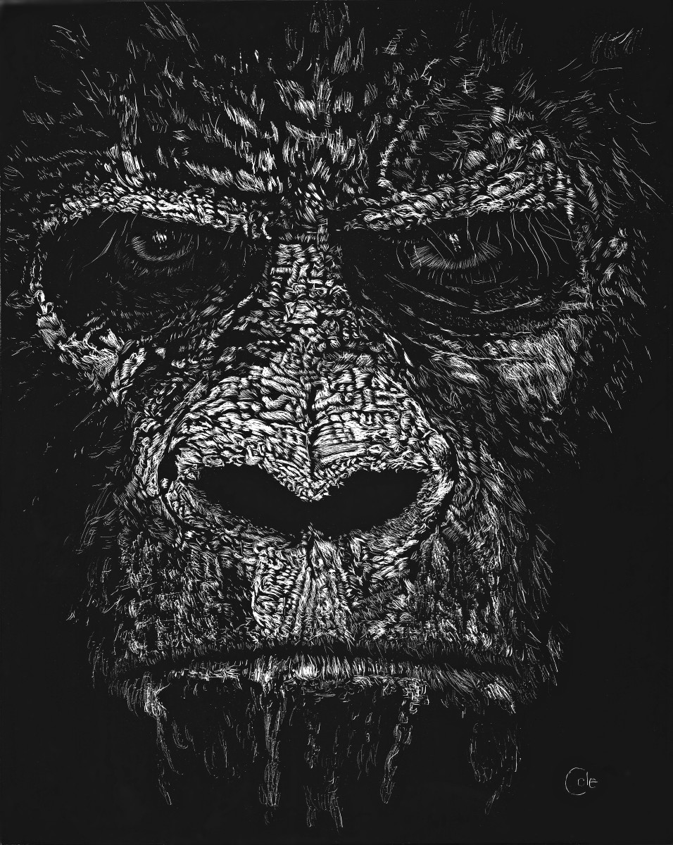 Anger in the Hills by Nathan Cole 