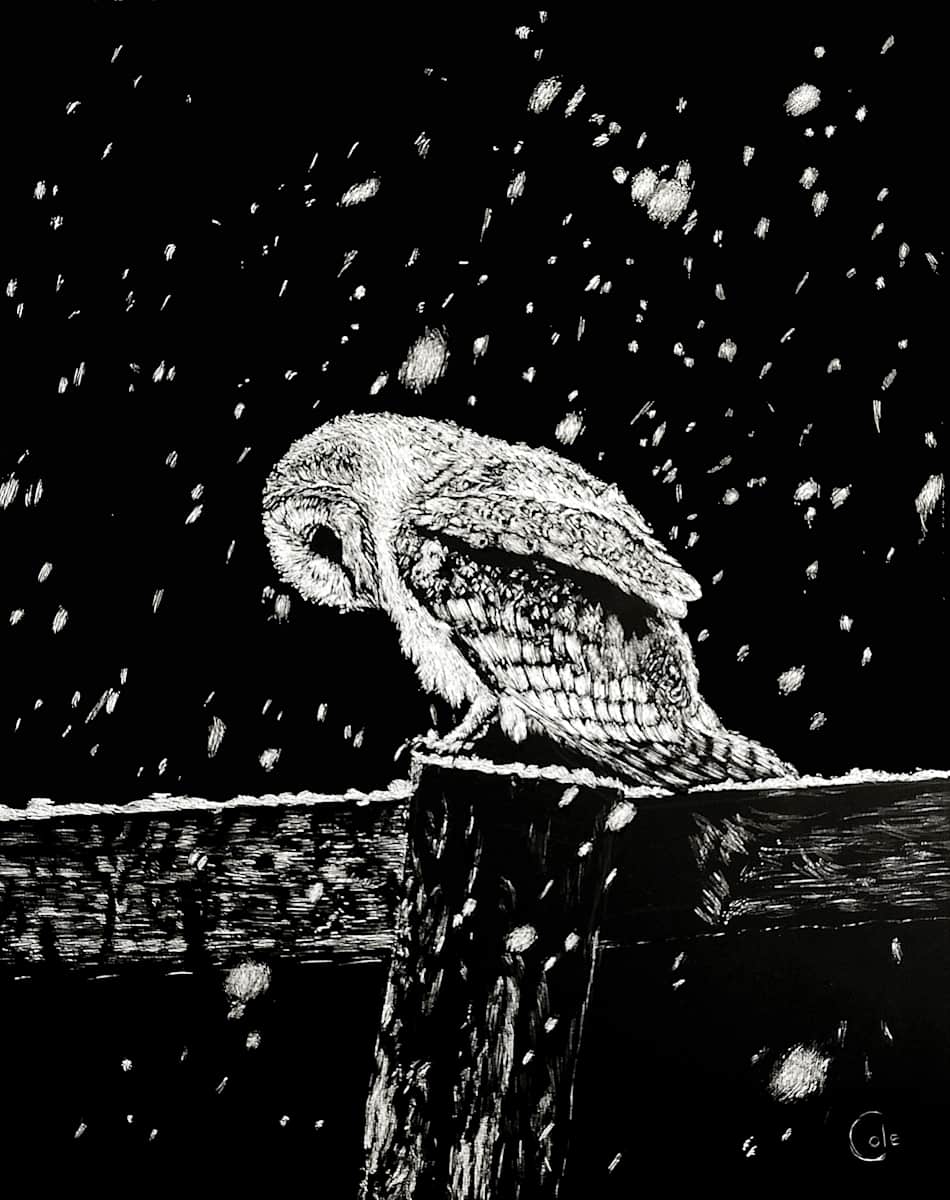 Snowfall at Night by Nathan Cole, Image 1.