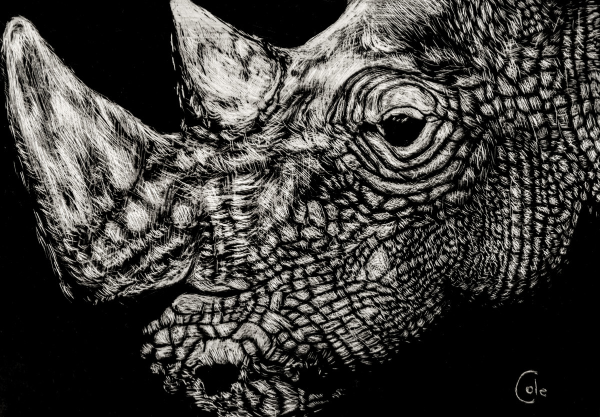 The Myth Maker by Nathan Cole 