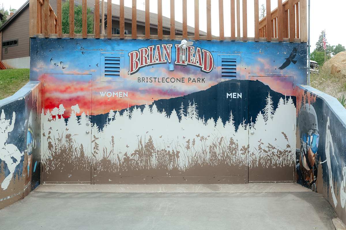 Bristlecone Park Restroom Mural by Ryan Gurr, Image 3.