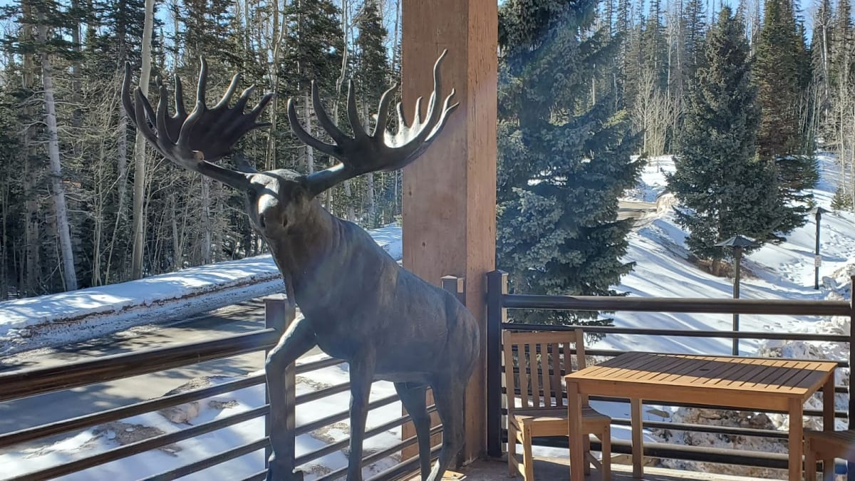 Grand Lodge Moose by Unknown, Image 2.