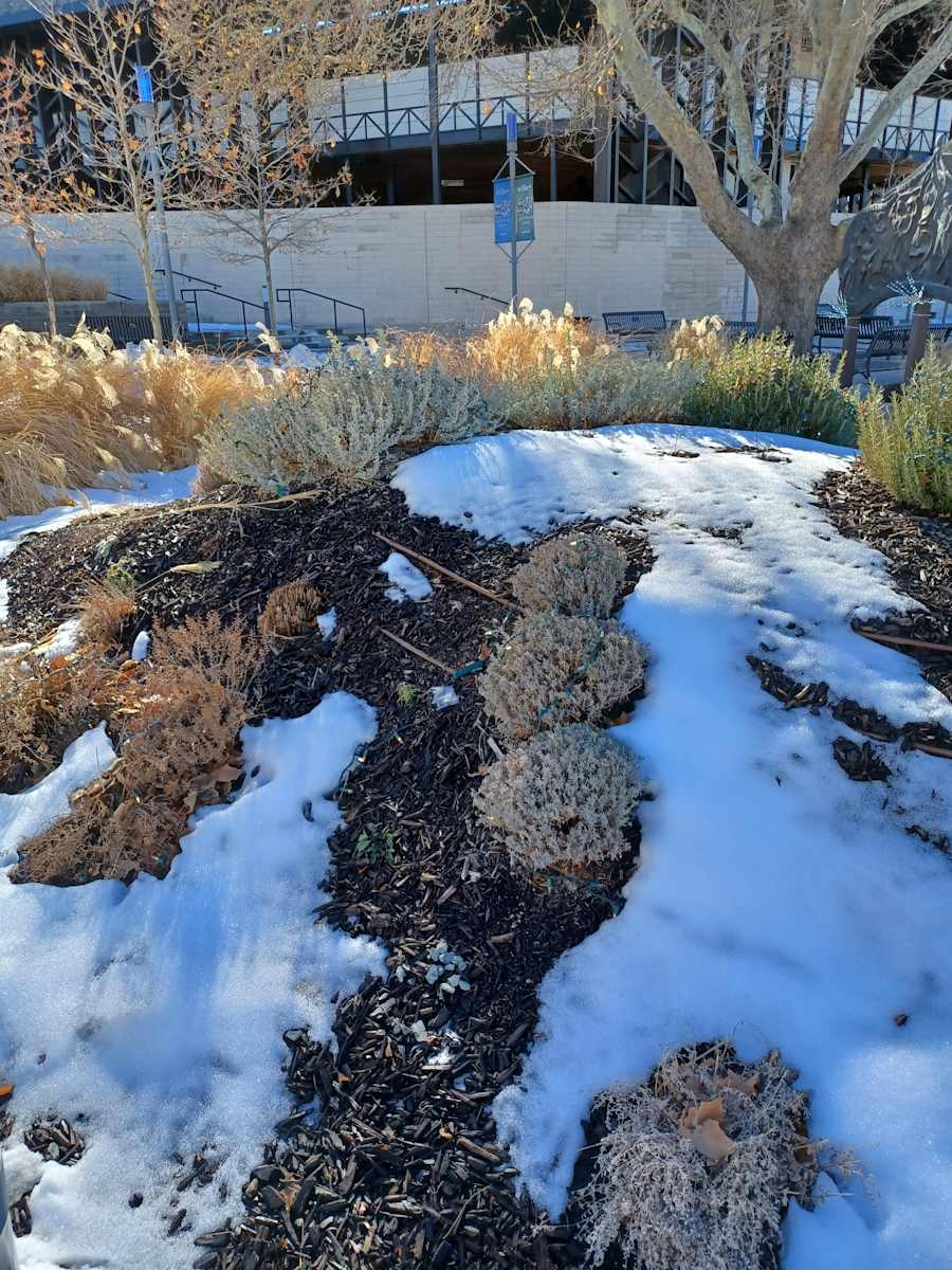 Judy Applebaum Memory Garden  Image: Photograph by Steven D. Decker. Licensed by Creative Commons (CC BY-SA).