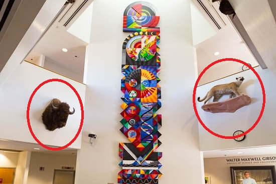 Taxidermy - representative  Image: Photo credit: Internet.  Circled figures. Representative of the collection.