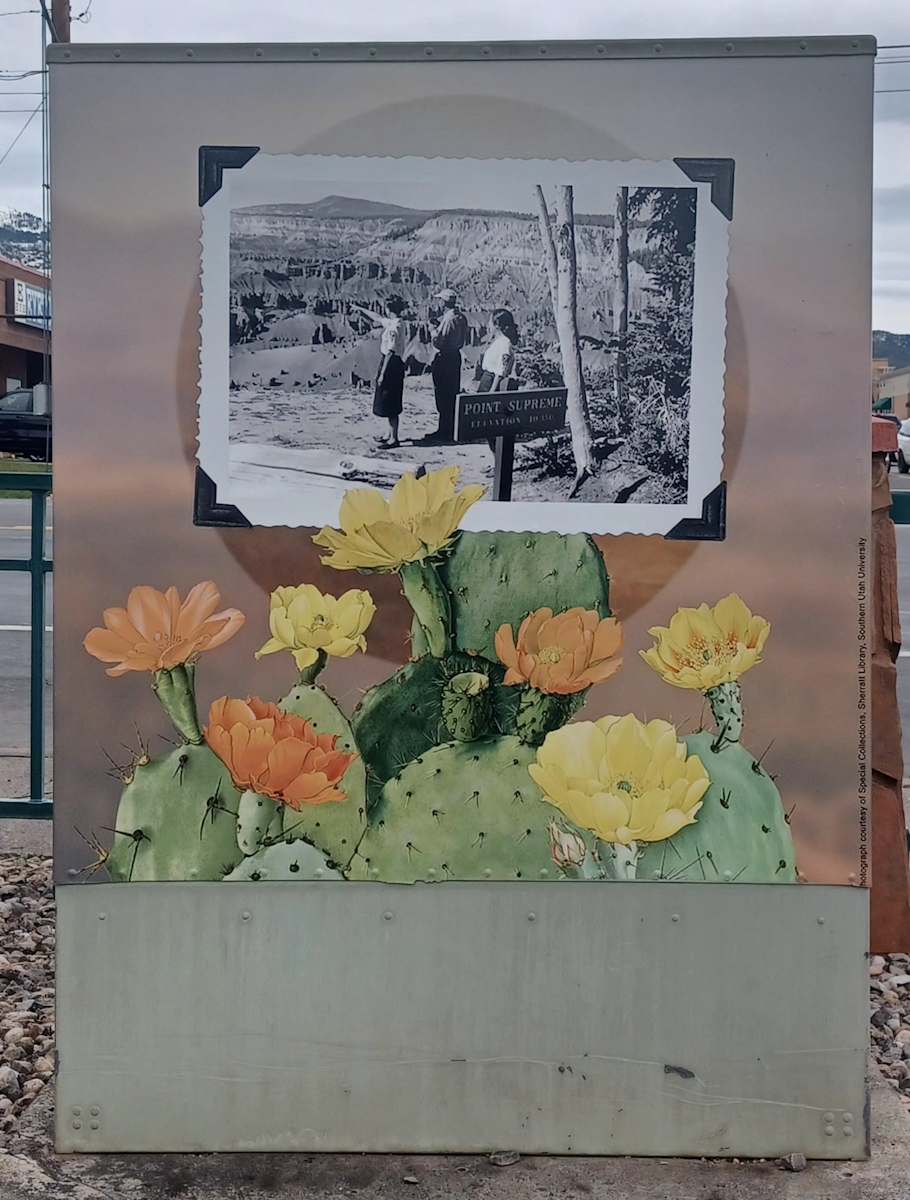 Utility Box Wrap (Point Supreme) by Jamie Kyle  Image: 49 W 200 N, Cedar City, UT (south side of Main Street Park).

Photograph by Steven D. Decker. Licensed by Creative Commons (CC BY-SA). 