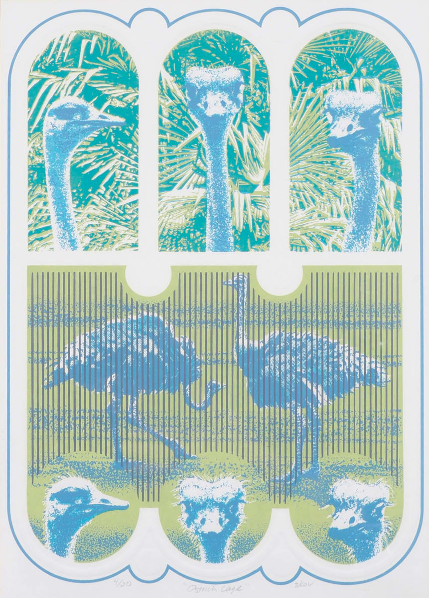 Ostrich Cage by Arny R. Skov, Image 1.