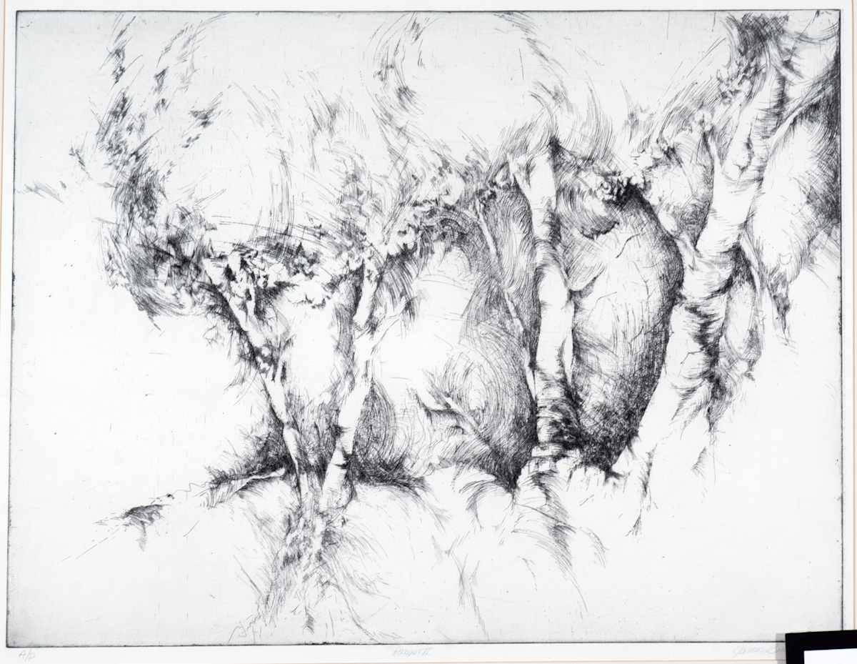 Ranger II by James Michael Benedict, Image 1.