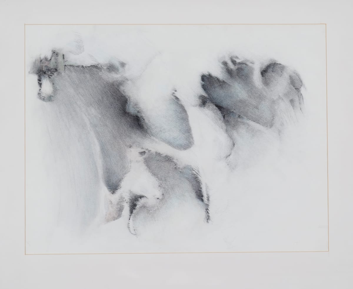 Snow Den by Paul Schlafly, Image 1.