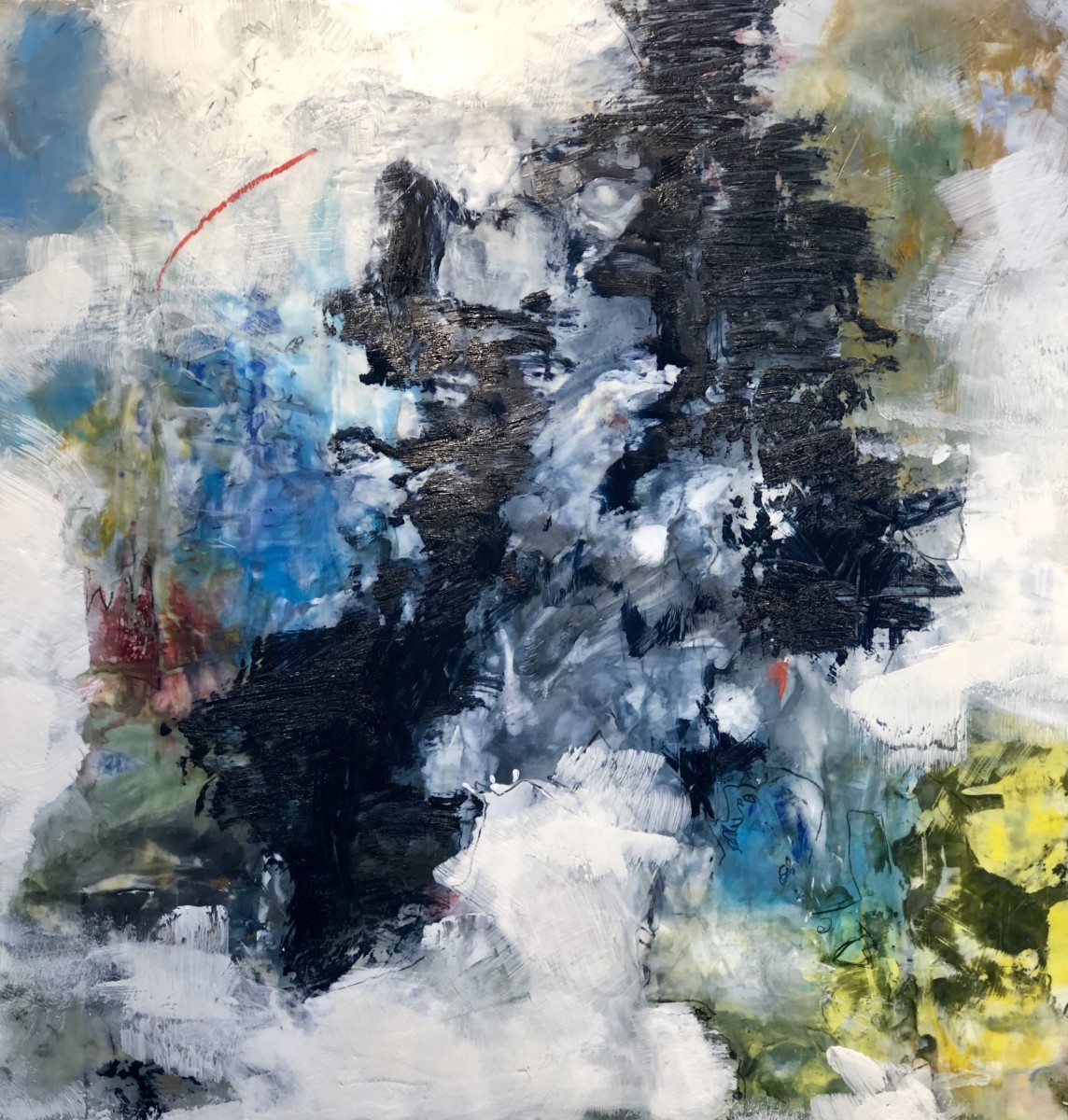 Water Carnival by Dianna Woolley 