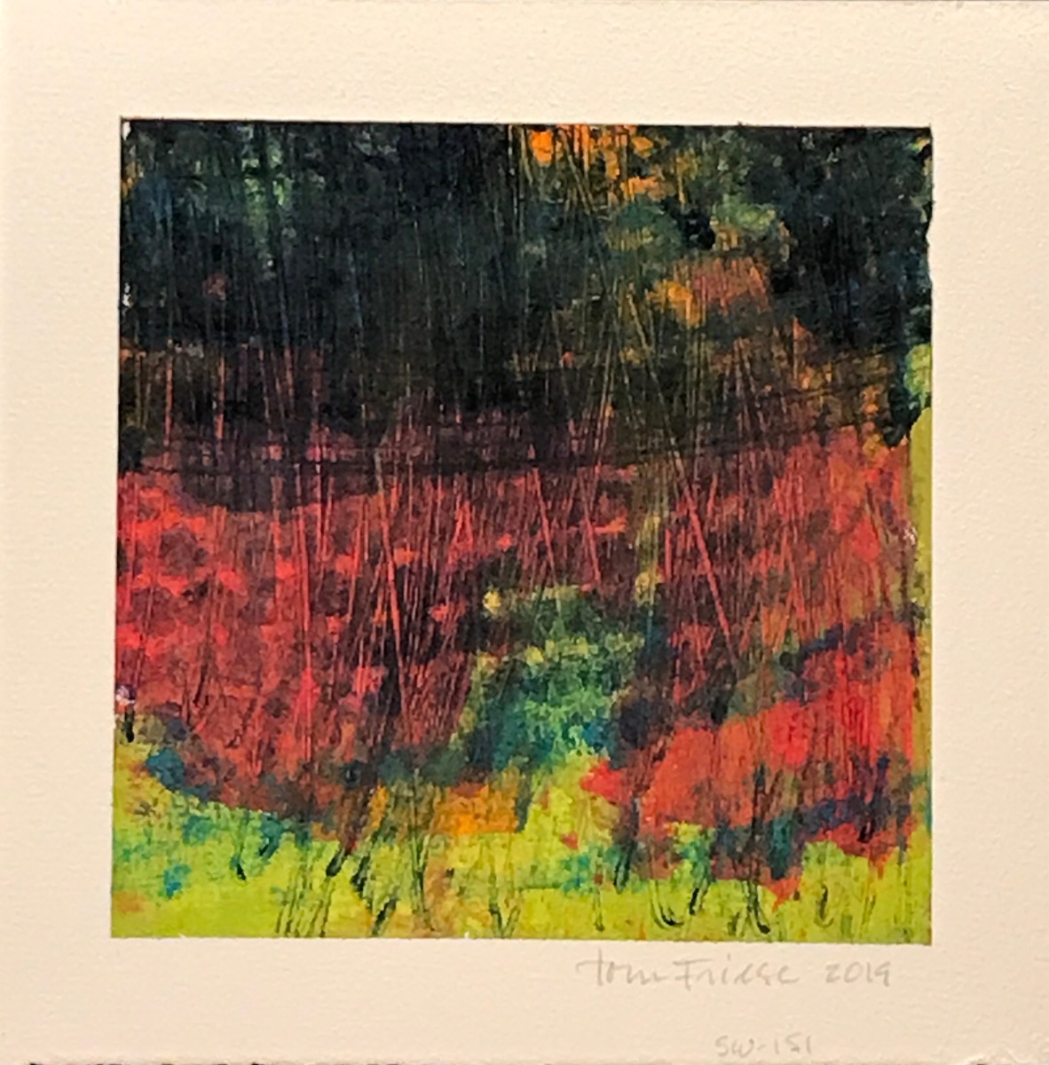 SW-151 by Tom Friese 