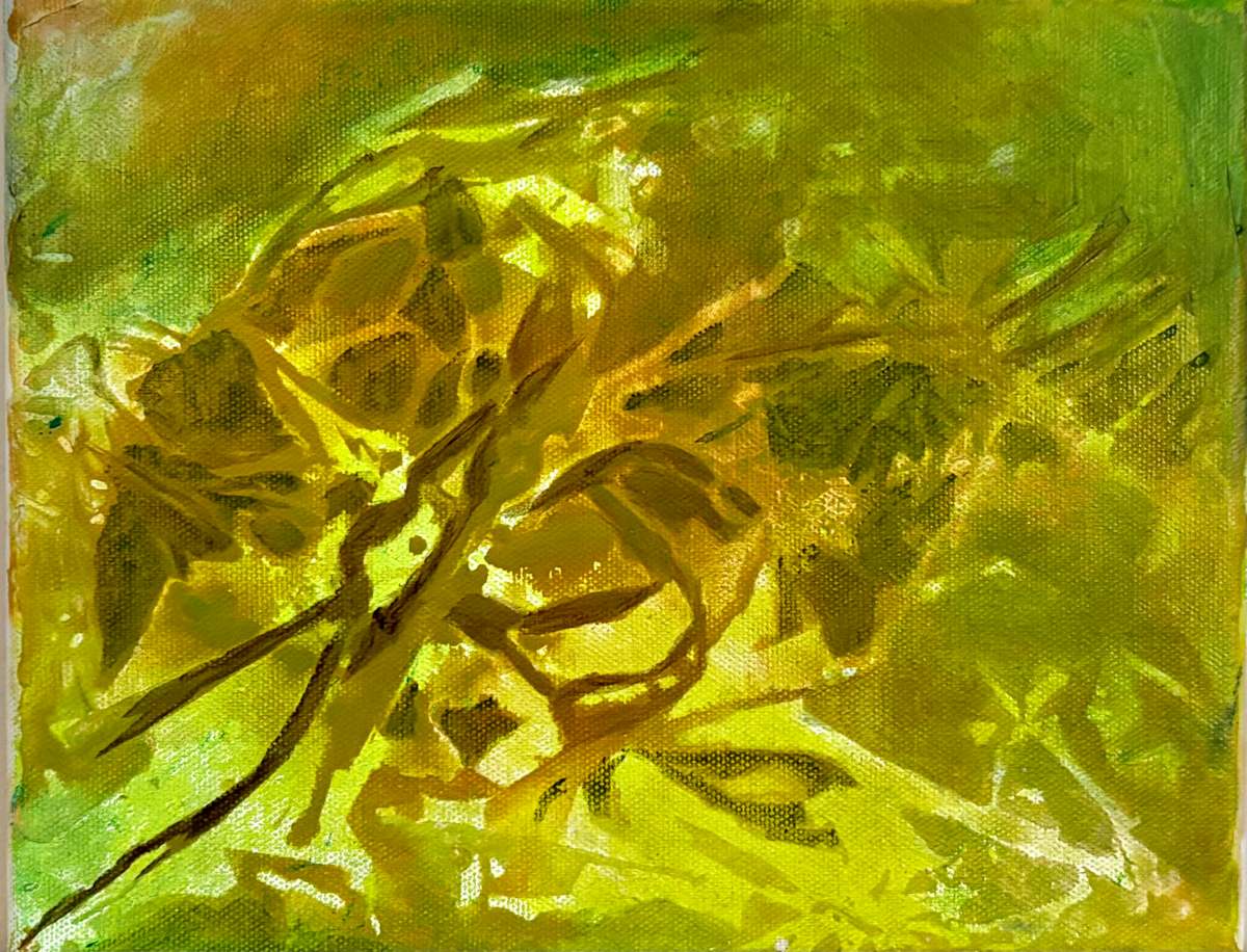 look up by Nancy Broadbent, Image 1.