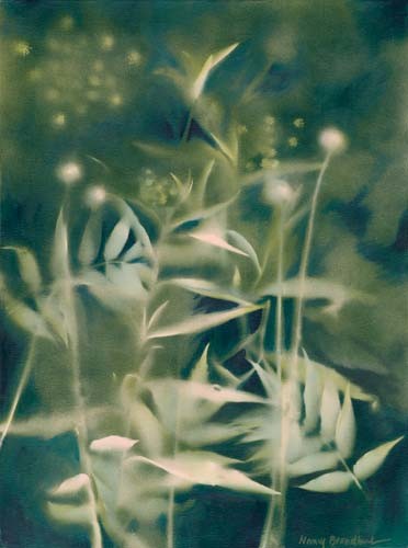 Night Garden by Nancy Broadbent  Image: Giclee pricing available upon request.
