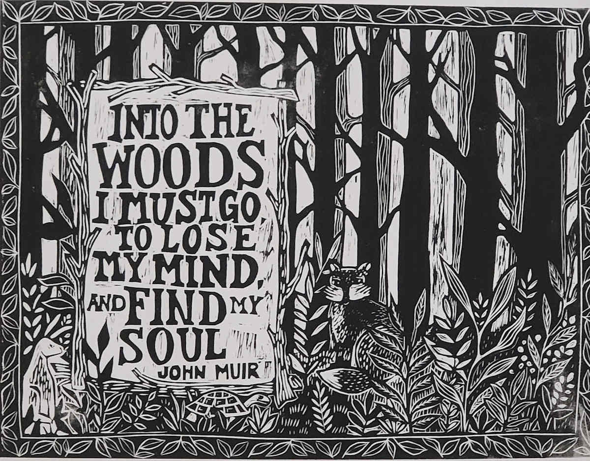 Into the Woods  1/25 by Kayann Ausherman 