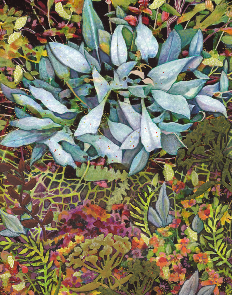 Searching for Blue by Kayann Ausherman 