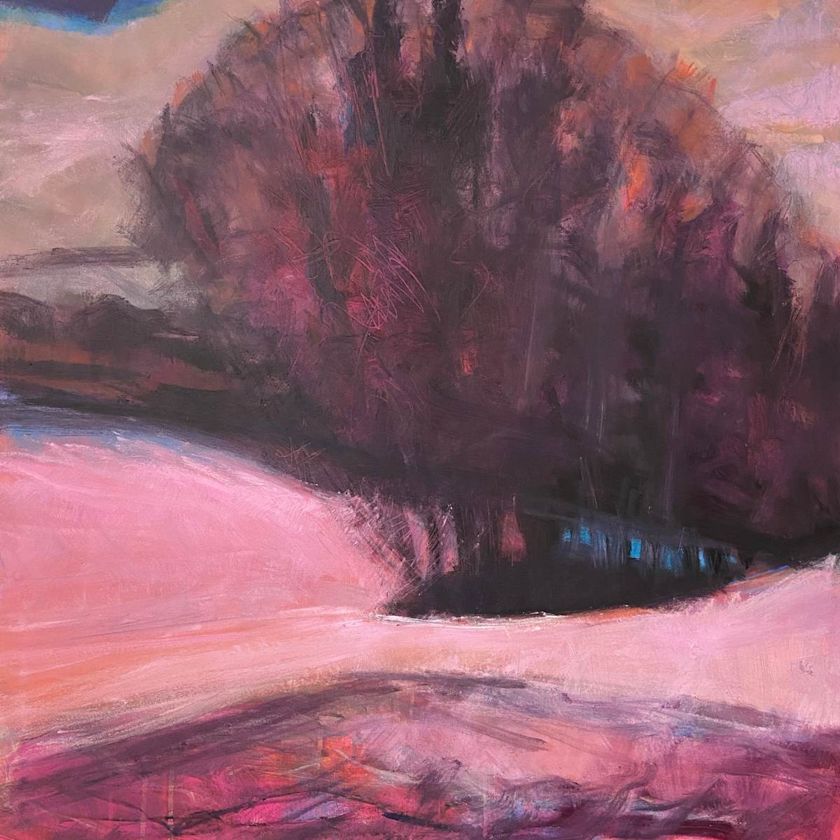 The Pink Field by Pippa Spires 