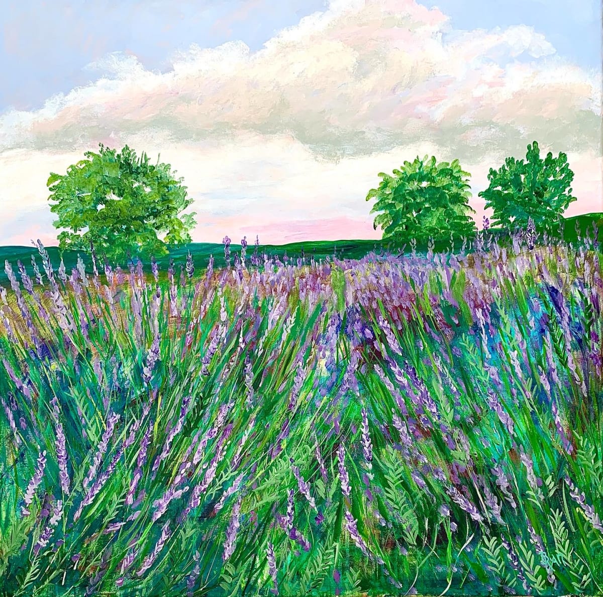 “Lavender Meadow” 