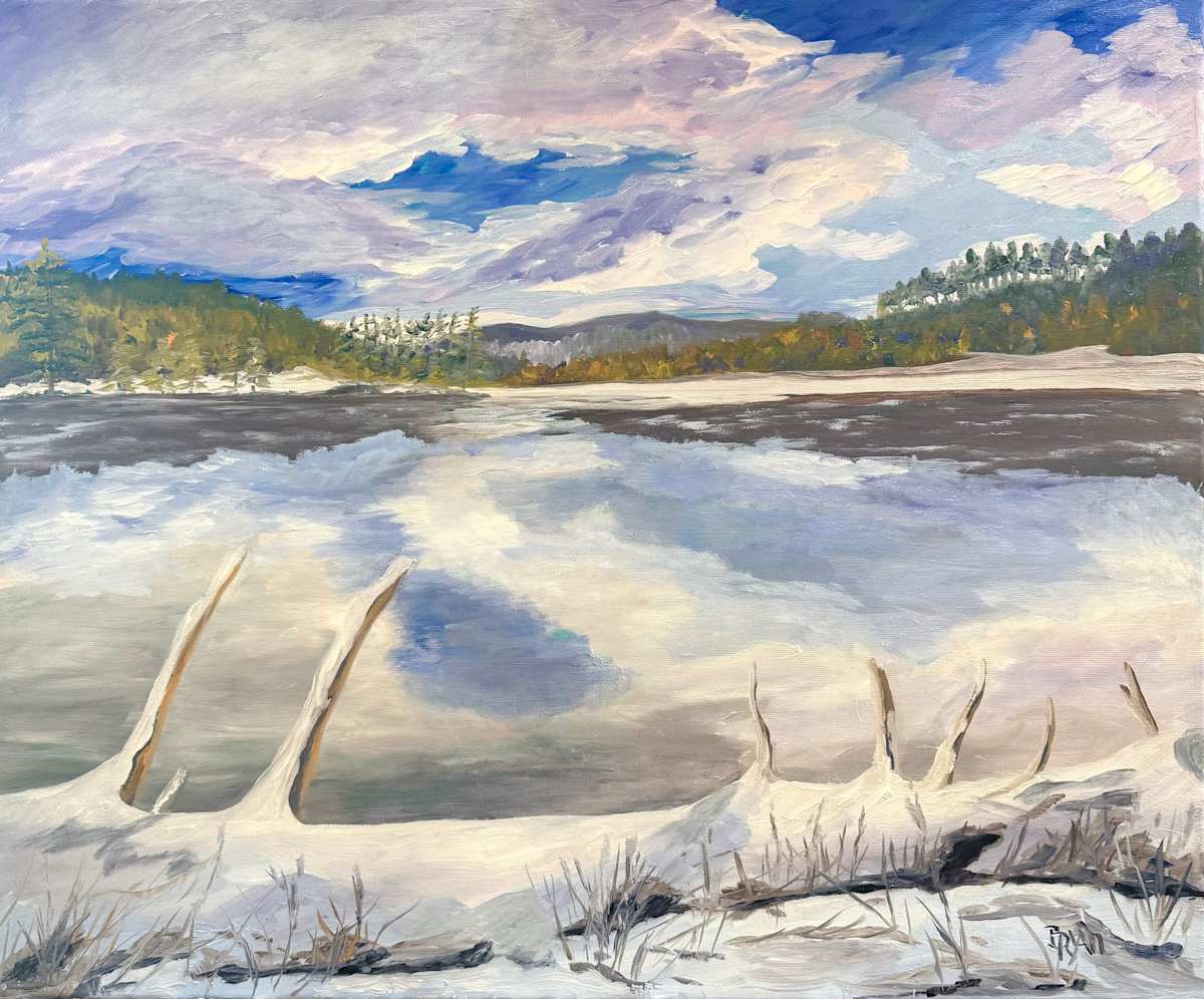 “Frozen Silence” by Barbara Ryan, Image 1.
