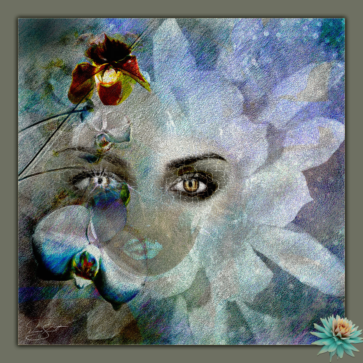 Orchid Diva by Doriana Sinnett 