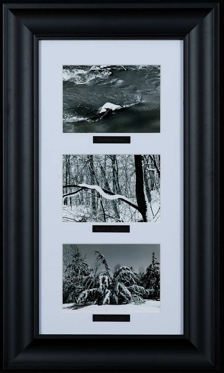 Winter's Playful Imagination by Betsy Anderson, Image 11.