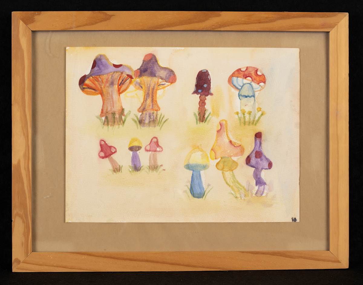 Fungi by Sarah Billingsley Jr  Image: Honorable Mention - Youth
