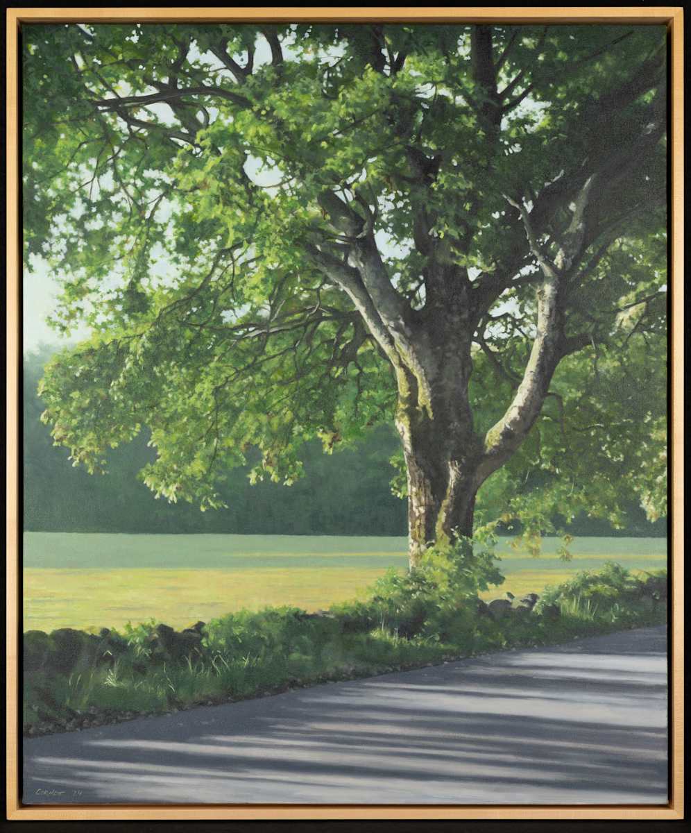 Big Tree in Scotland by Eric Cornett  Image: Third Place - Professional 
