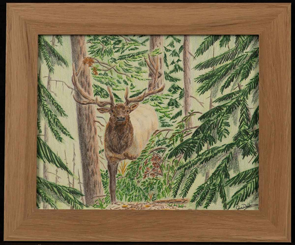 Elk by Jared Dittbenner, Image 14.
