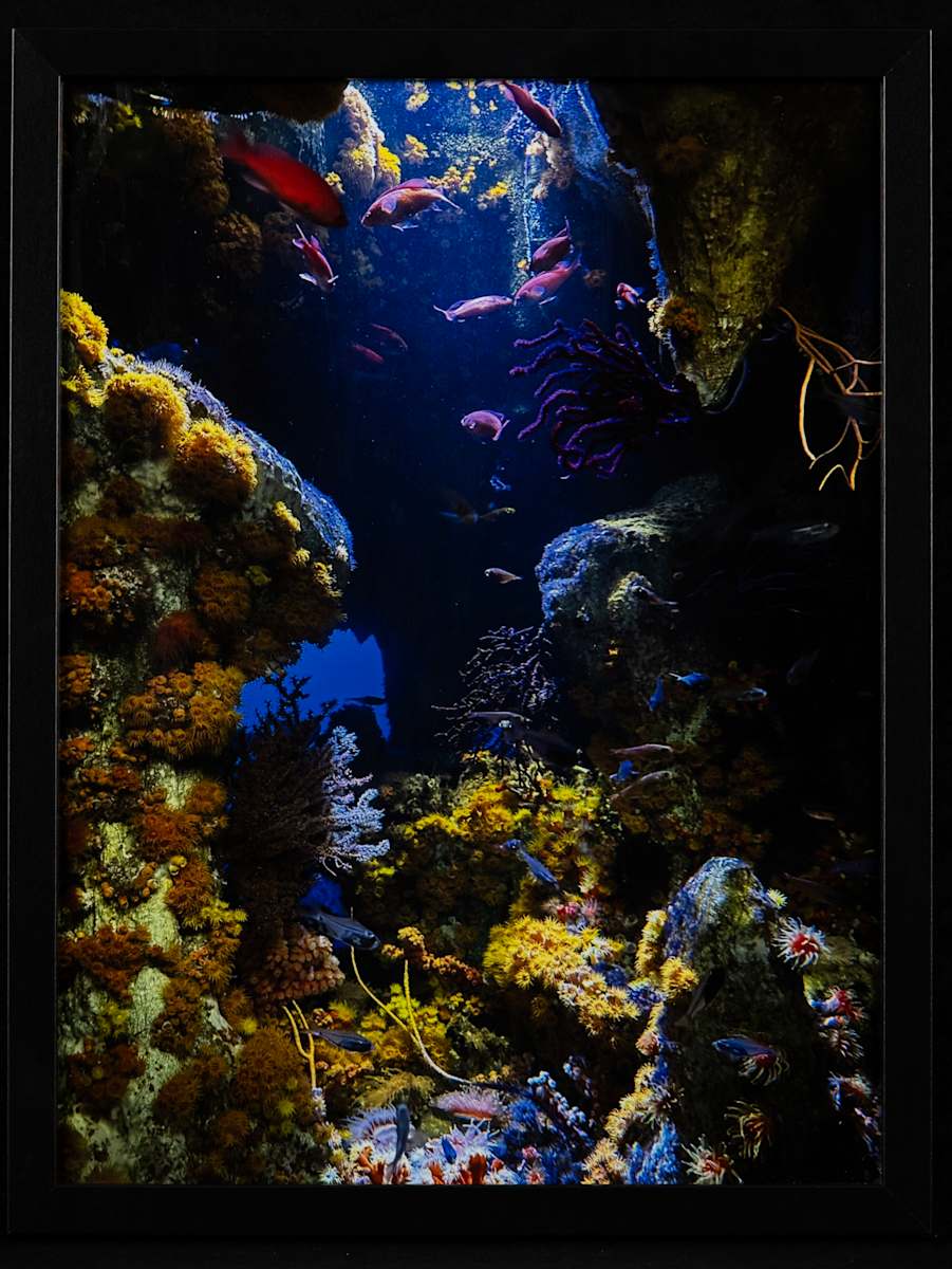 Where Mermaids Sing by Edna Huston, Image 7.