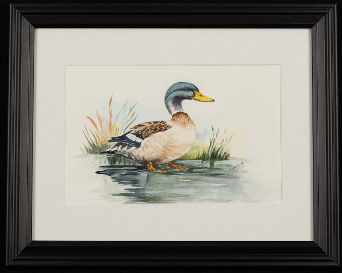 Tom's Duck by Mary Honora Keenan 