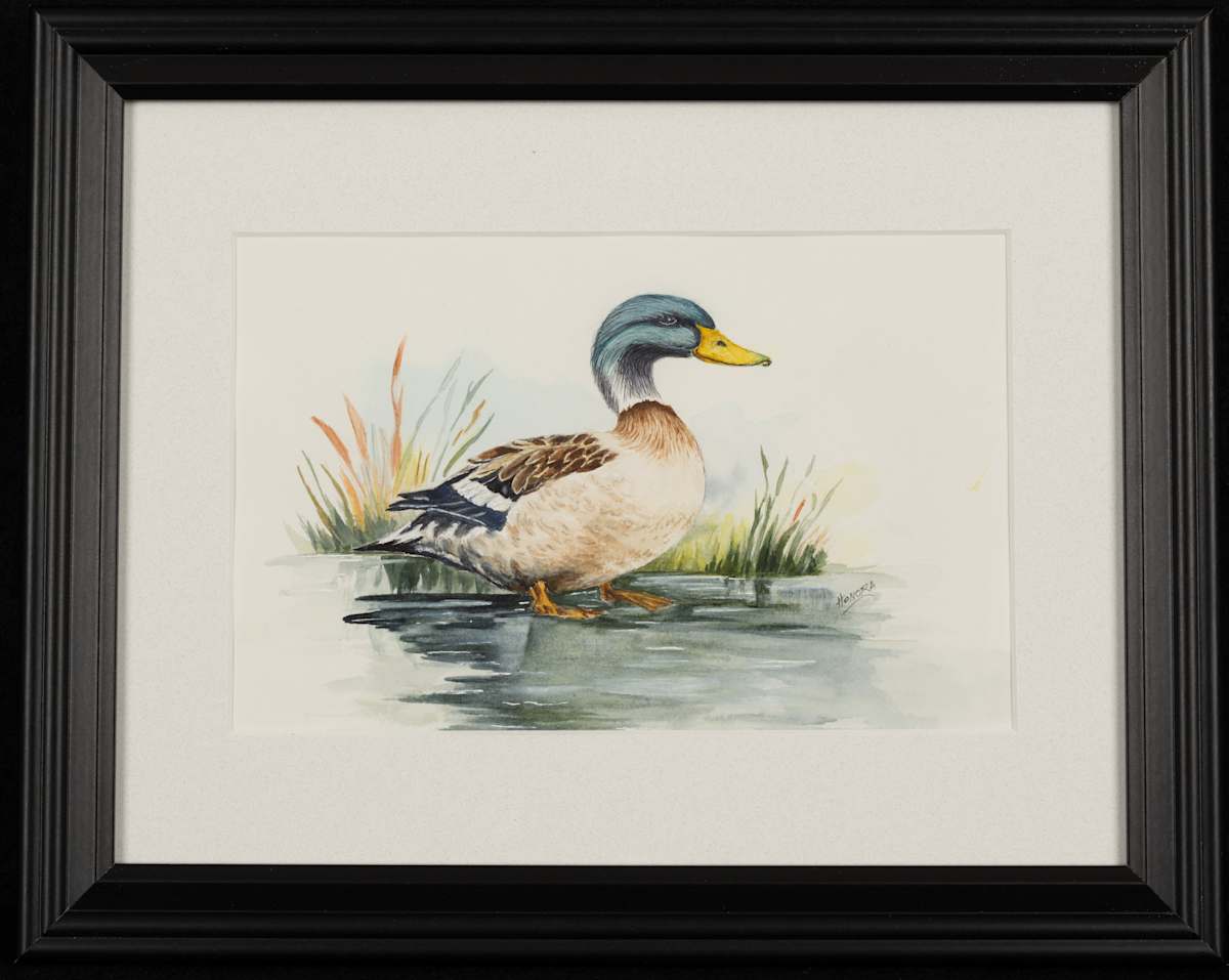 Tom's Duck by Mary Honora Keenan, Image 13.