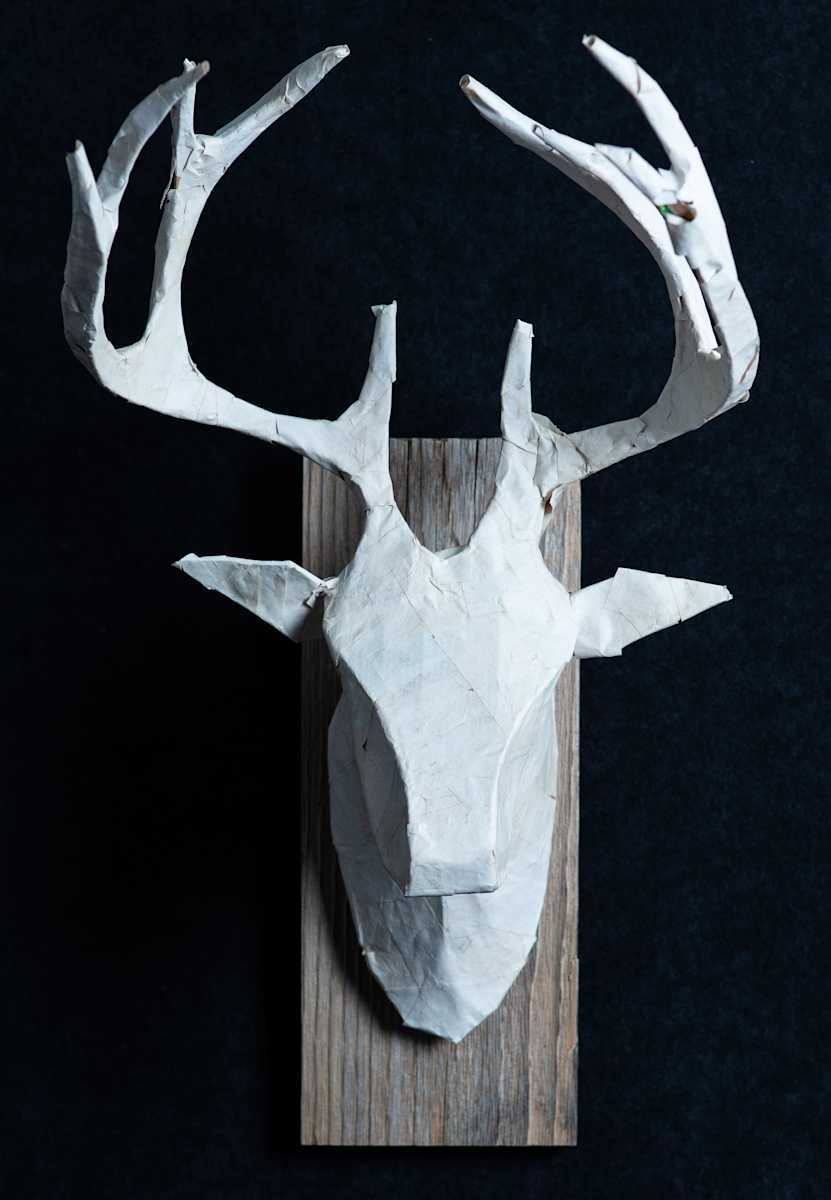 Deer head #1 by Phillip Koski, Image 1.