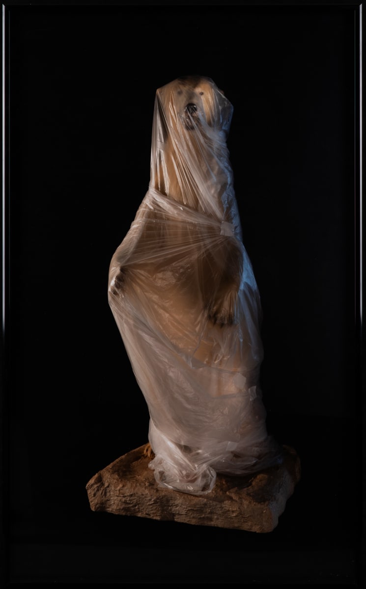 Storage Was a Bleak Metaphor by Jeff Millikan, Image 3.