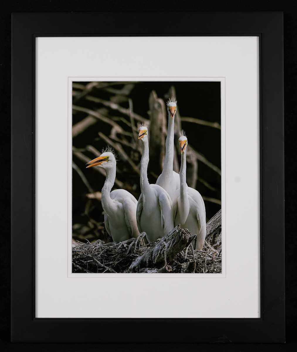 A Family Moment by Eileen Sabes 