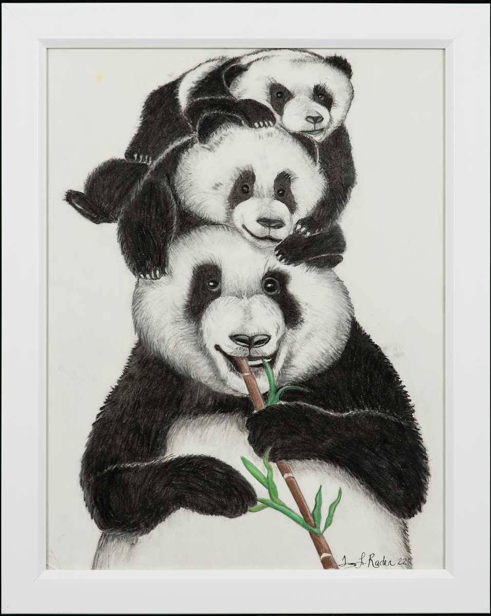 Bamboo Babies by Tammy Rader, Image 7.