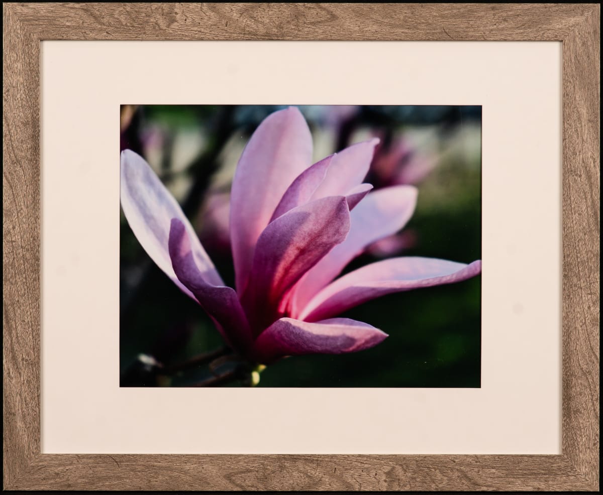 Opening Night by Patty Ruppert 