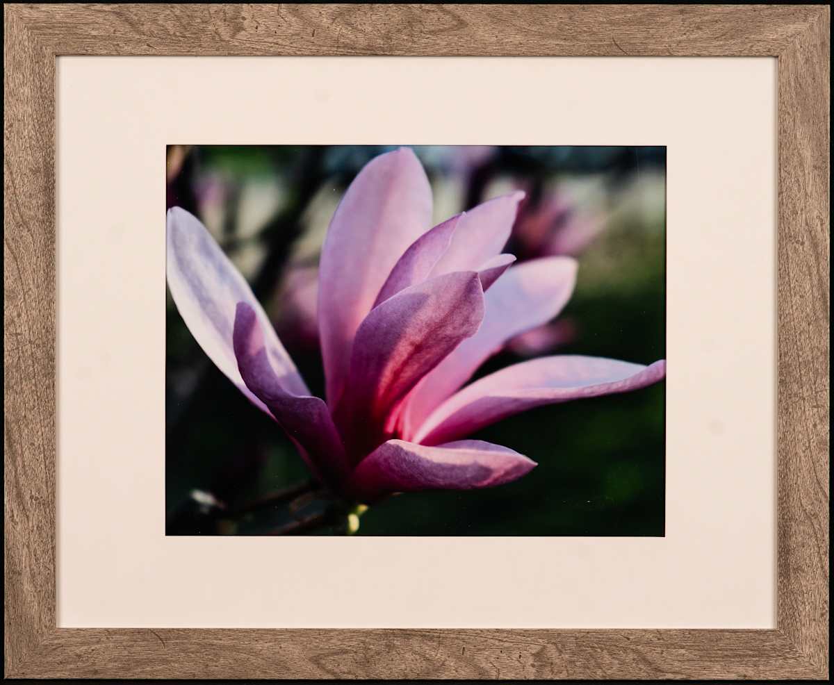 Opening Night by Patty Ruppert, Image 10.