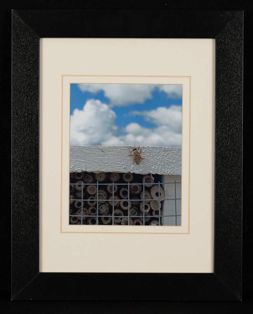 First Ascent by Sandra Ward, Image 18.