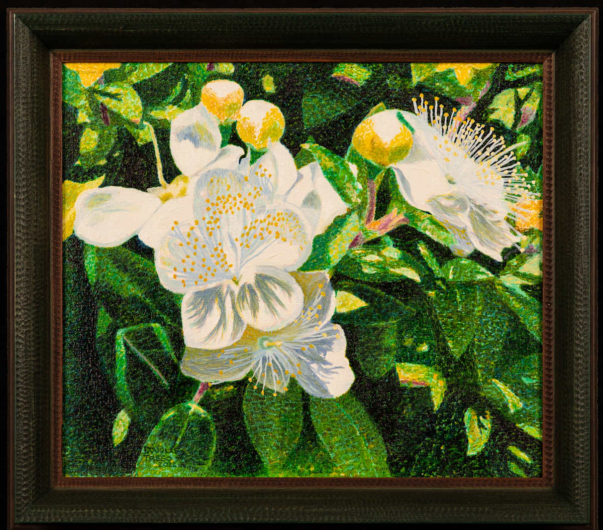 Blooming Myrtle by Douglas Trego, Image 10.