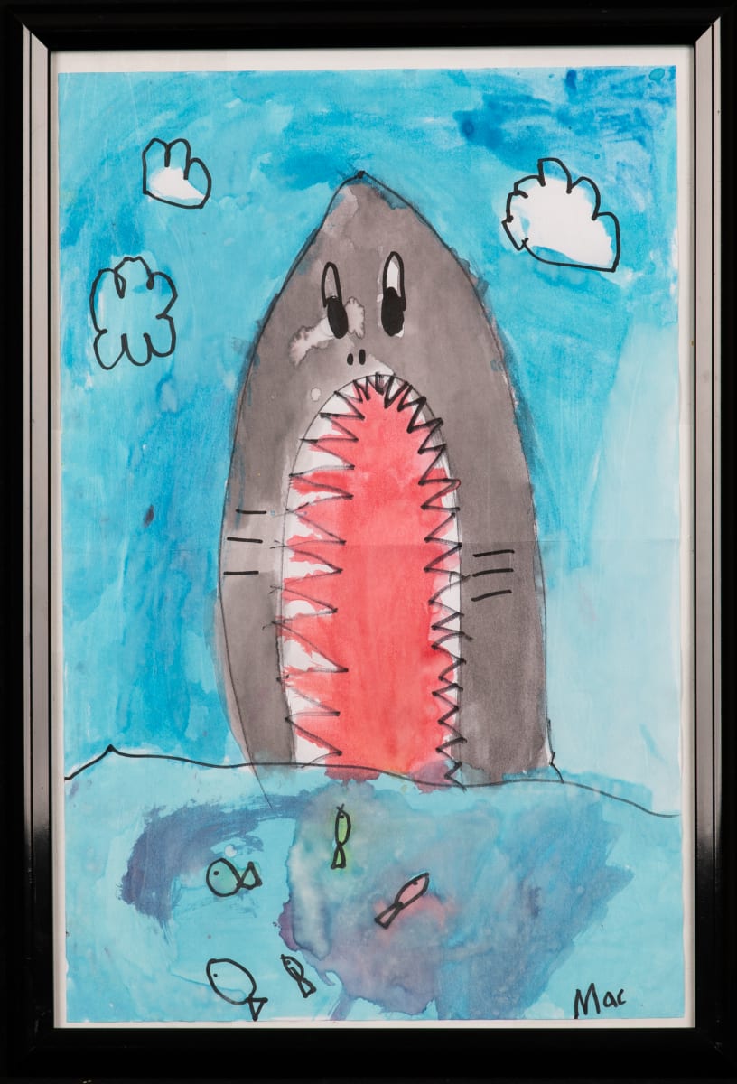 Shark Attack by Mac Veatch  Image: Honorable Mention - Youth Category