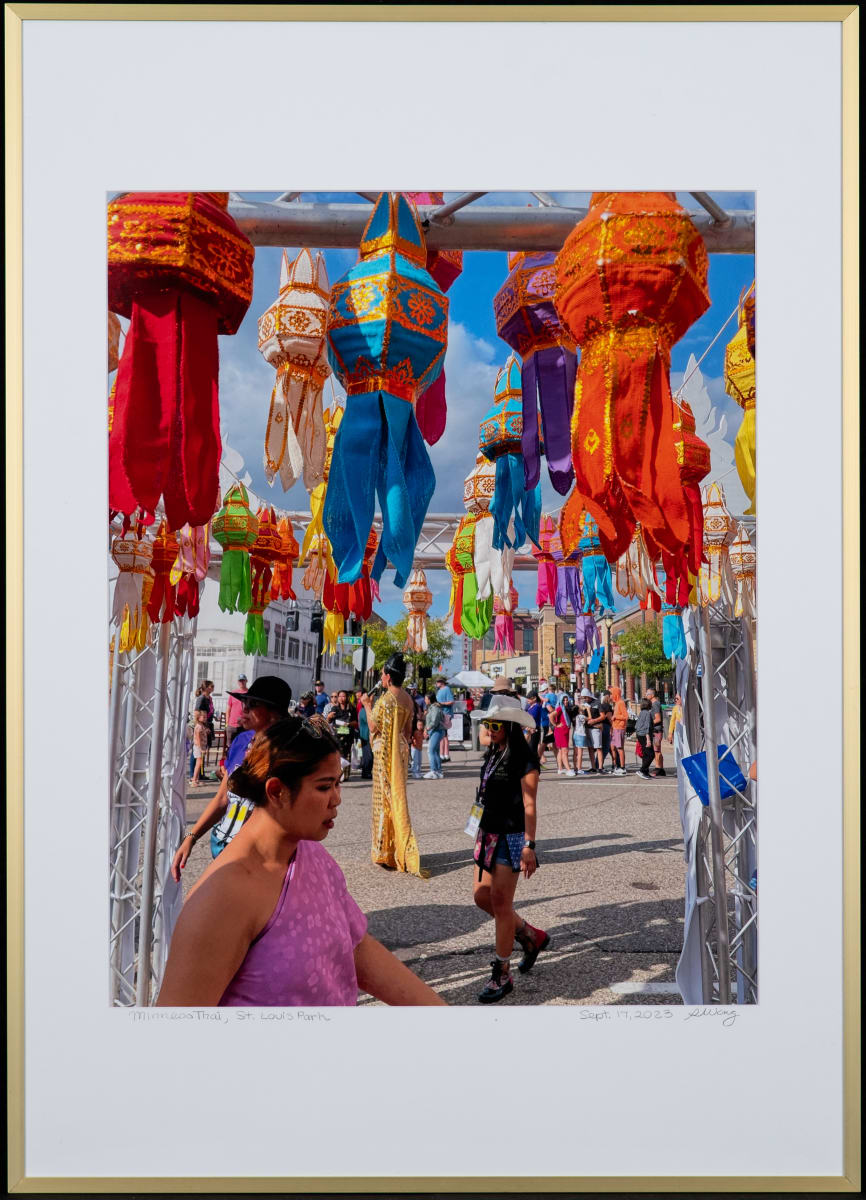 MinnesoThai by Sharon Wong  Image: 1st Place - Intermediate Category