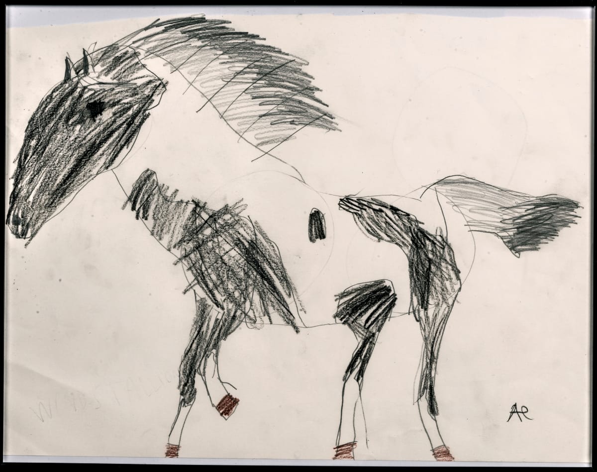 Wild Stallion by Ariel Ankrum 