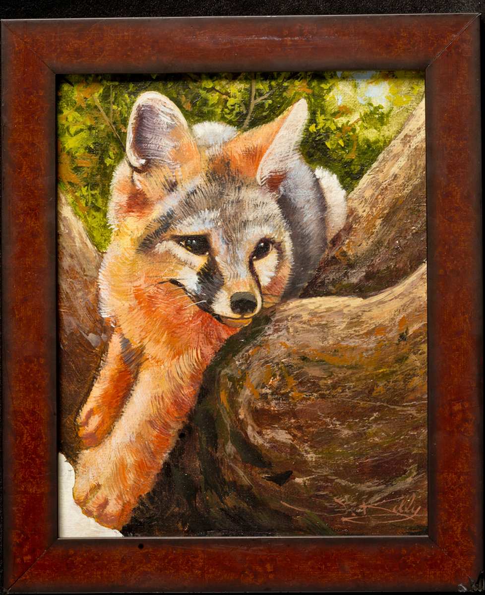 Foxy Pups by James Kelly, Image 43.
