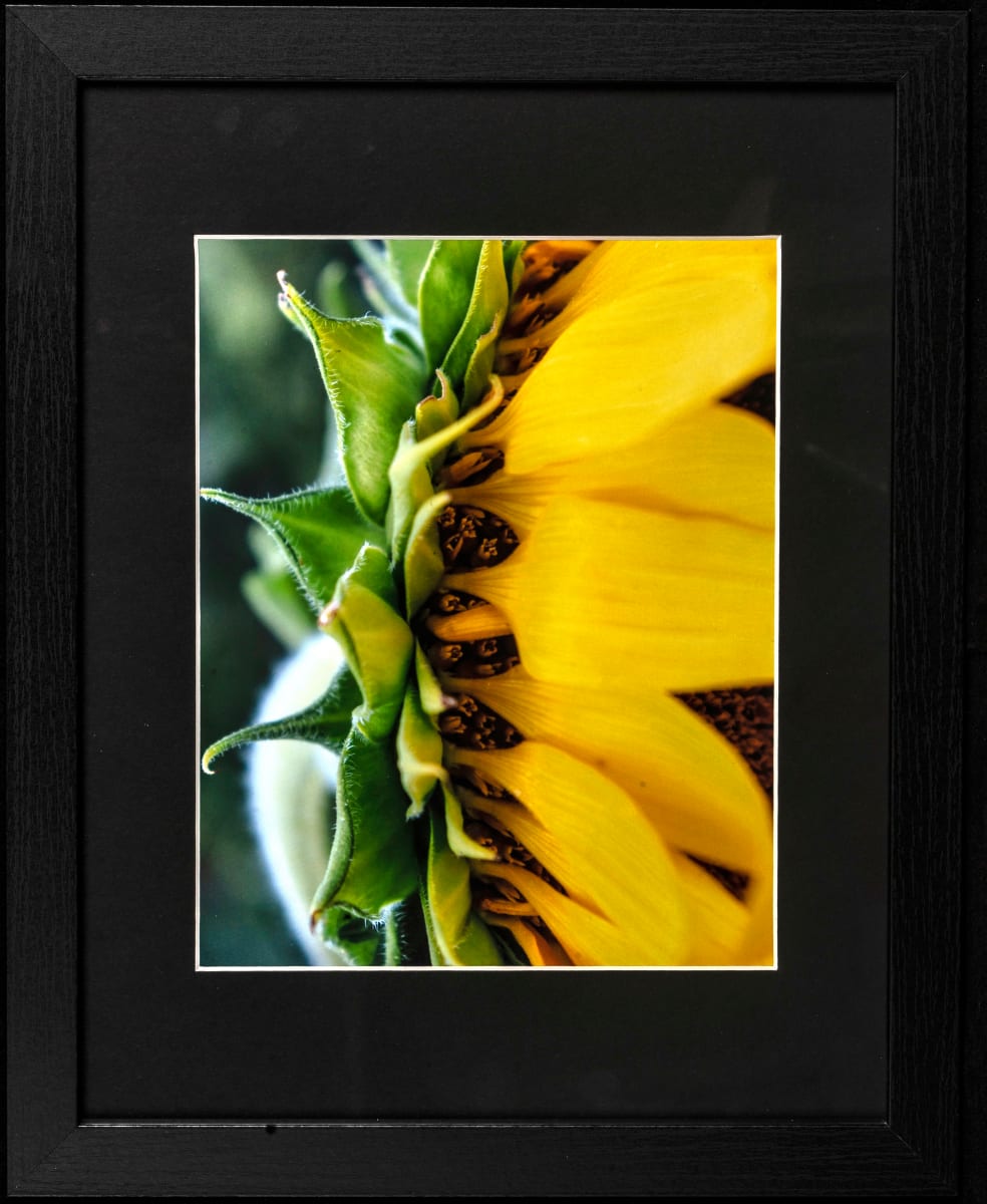 Behind Mama's Skirt by Patty Ruppert, Image 2.