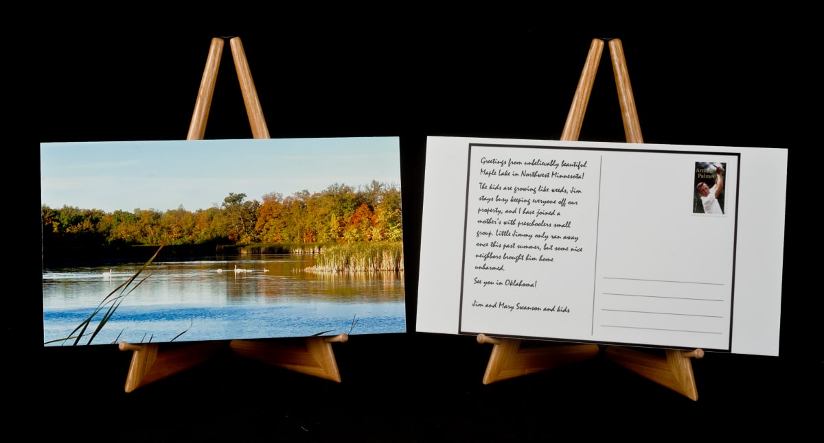 Swans Have Excellent Penmanship by Phil Burke, Image 8.