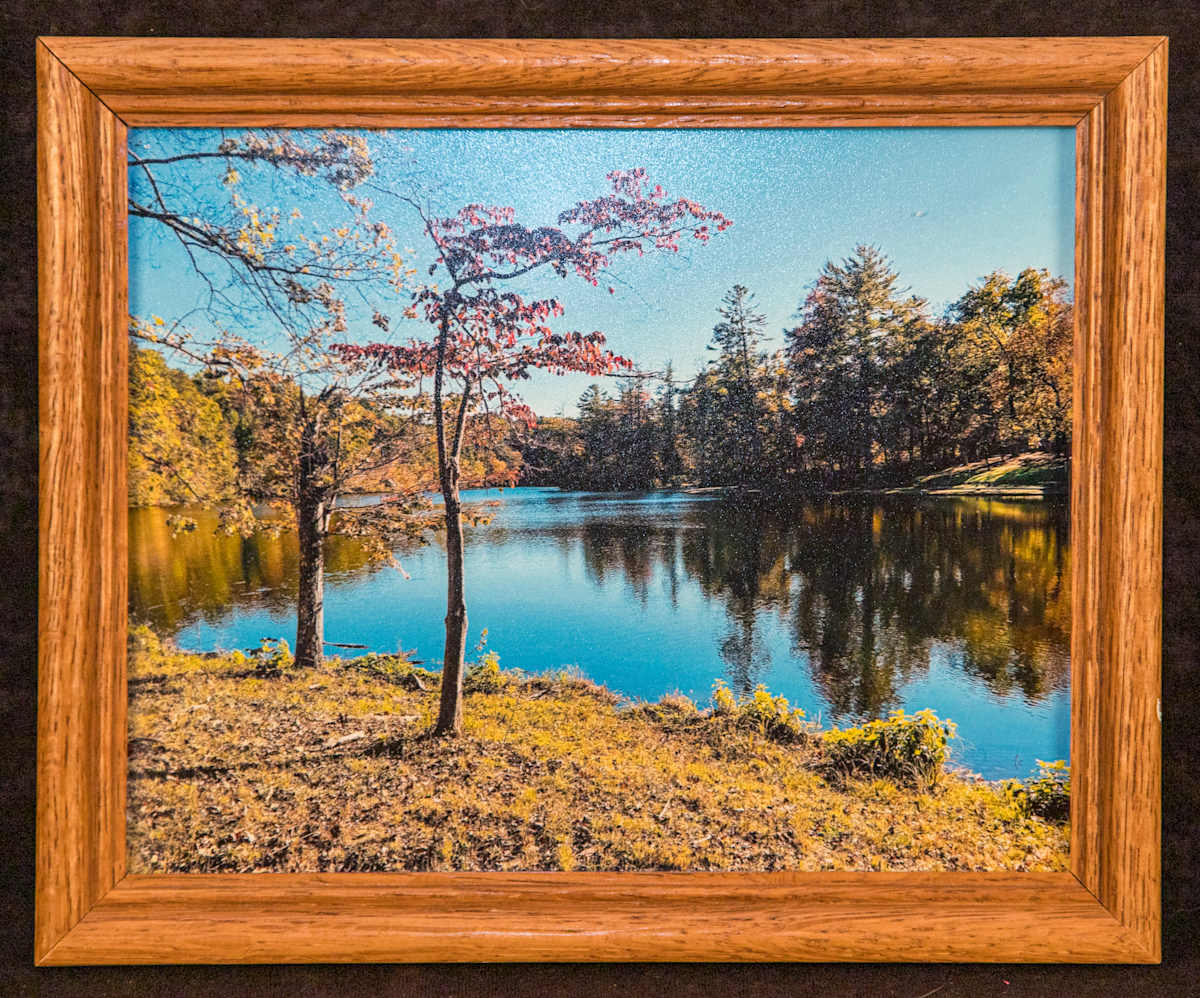 Red Creek by Evelyn Domino 