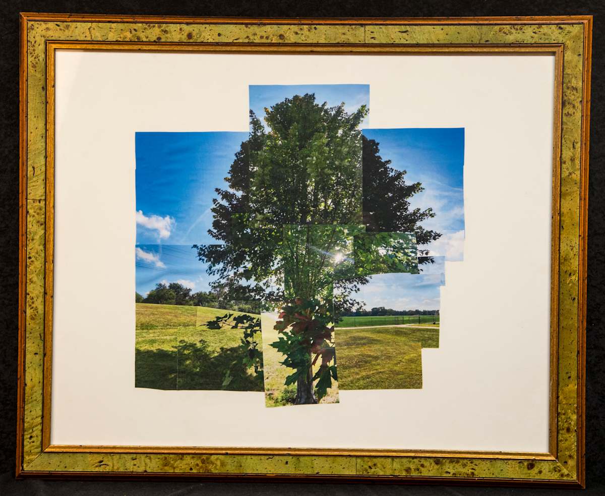 Blooming-Tree by Kieran Scott Manley 