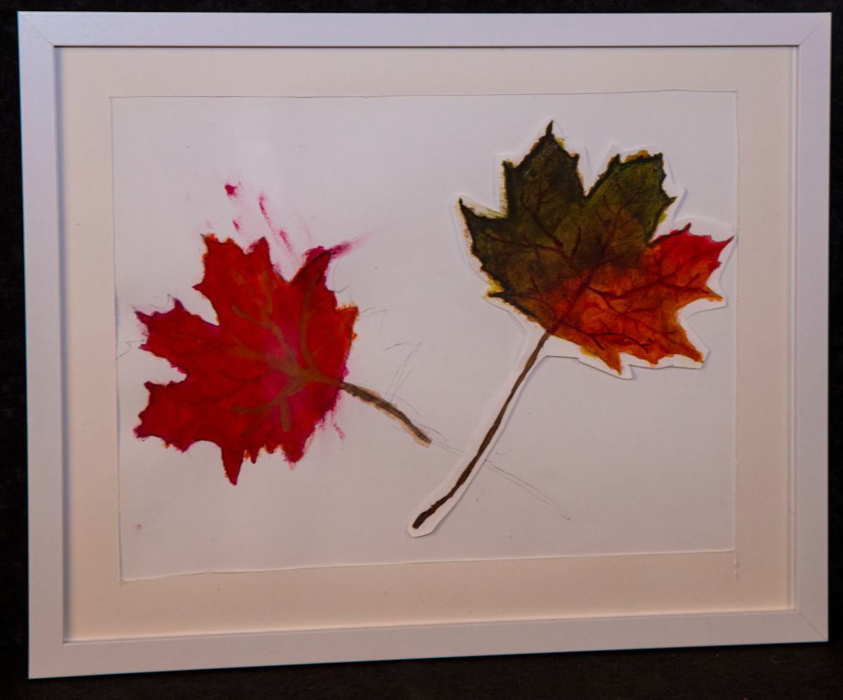 Falling Leaves by Clark Matthews 