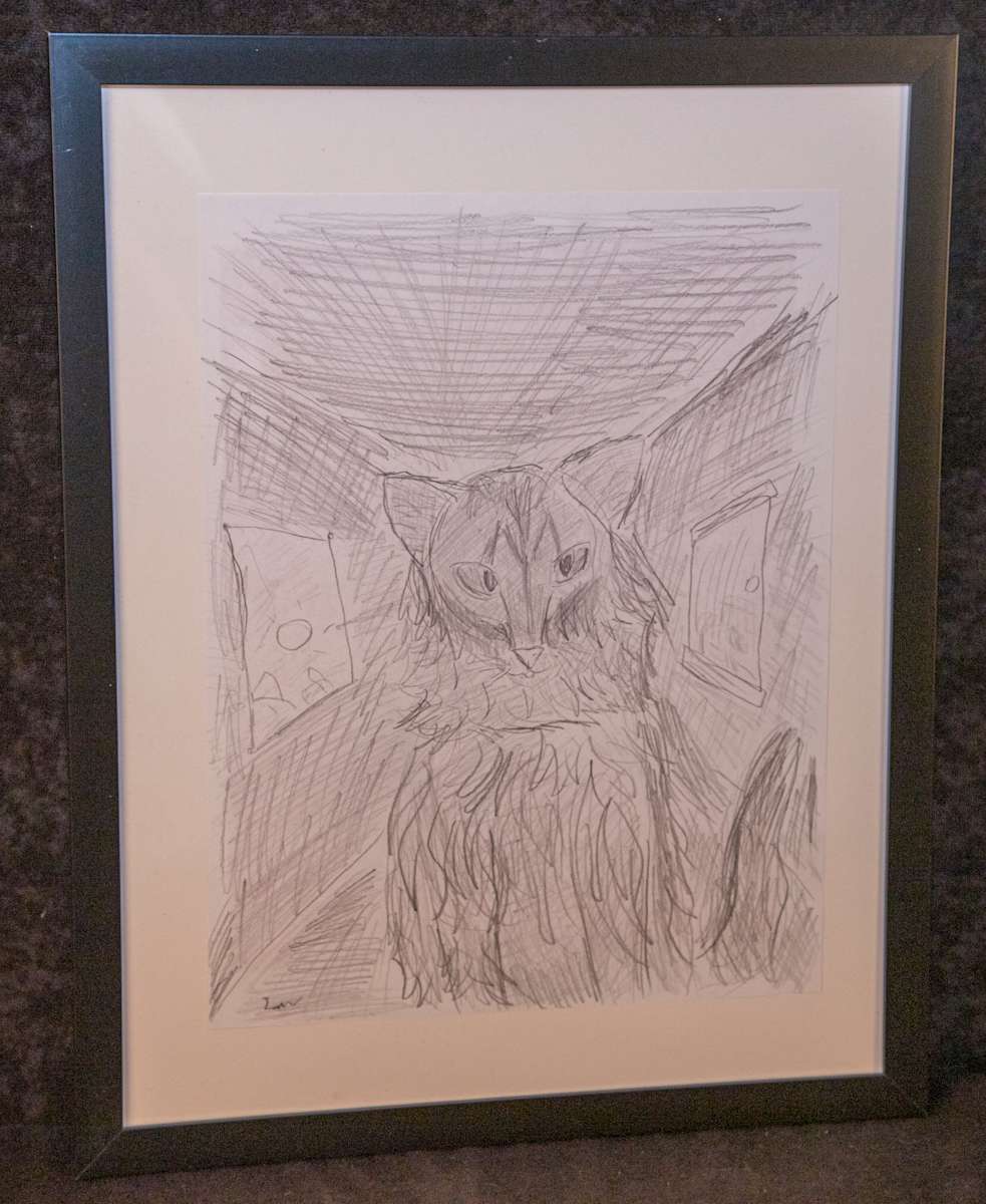 Cat 1 by Liam Matthews 