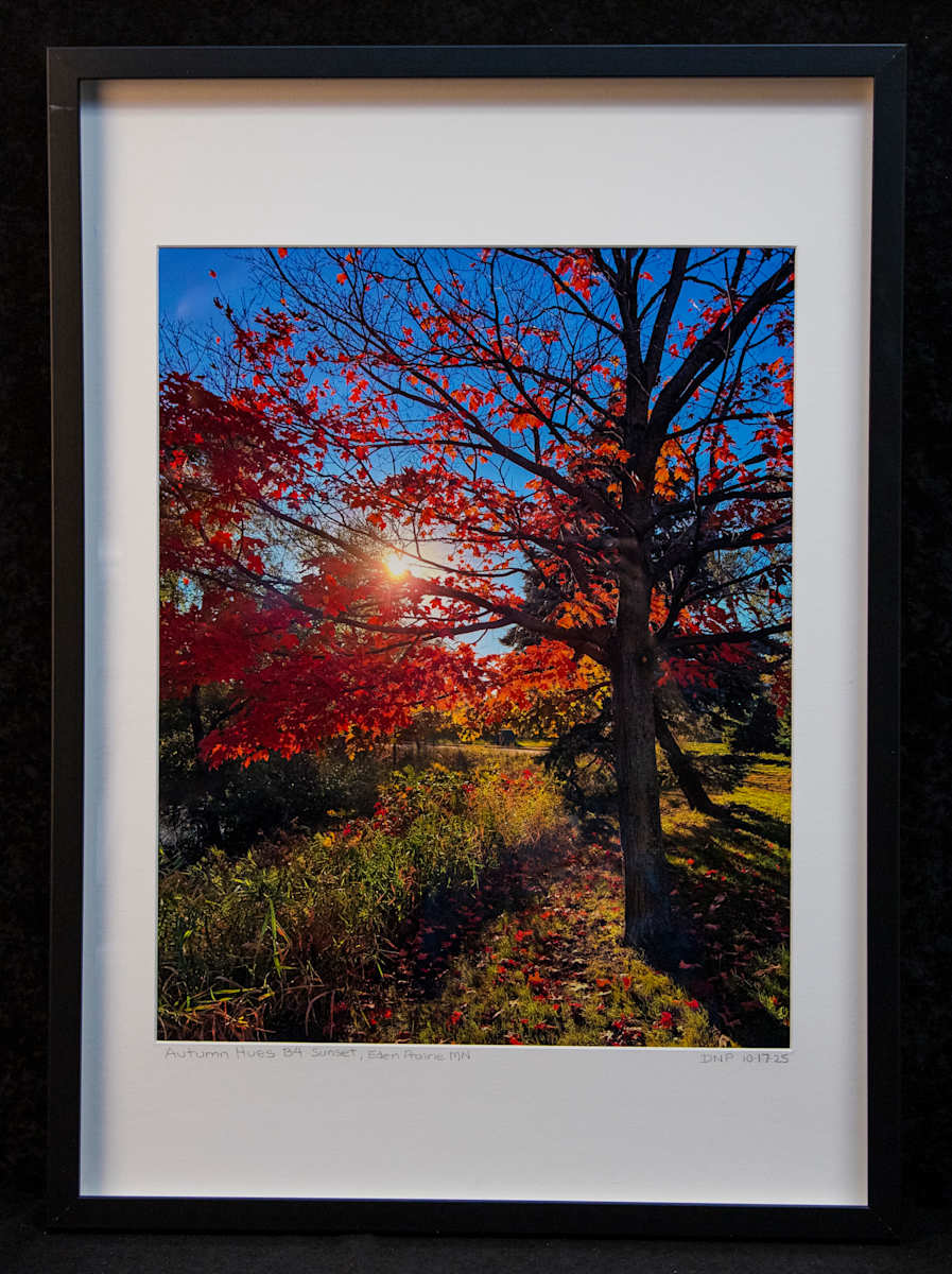 Autumn Hues Before Sunset by David Pedersen 