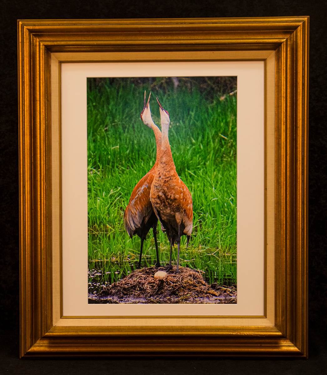 Sandhill Celebration by Eileen Sabes 